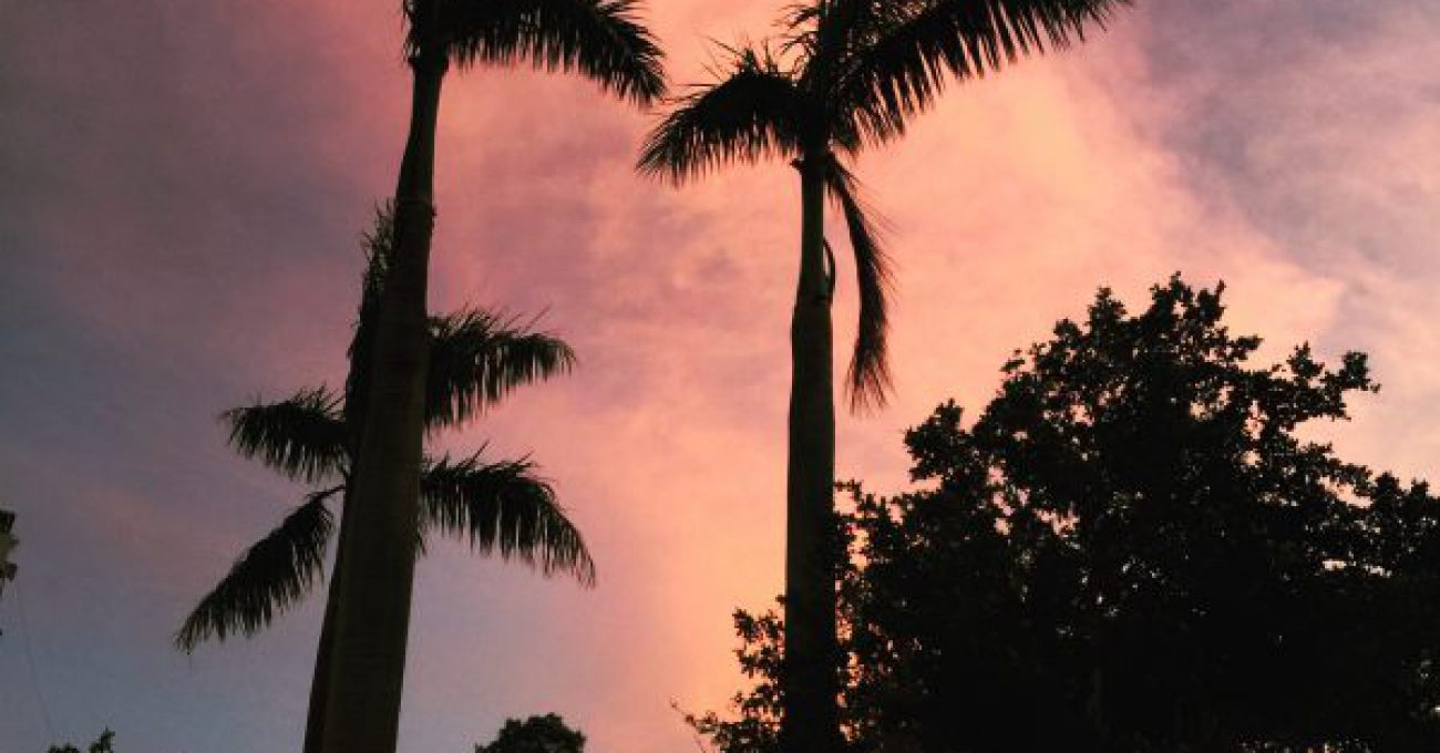 6369FED9-D52C-421B-B6B4-CF8DE6B0431E