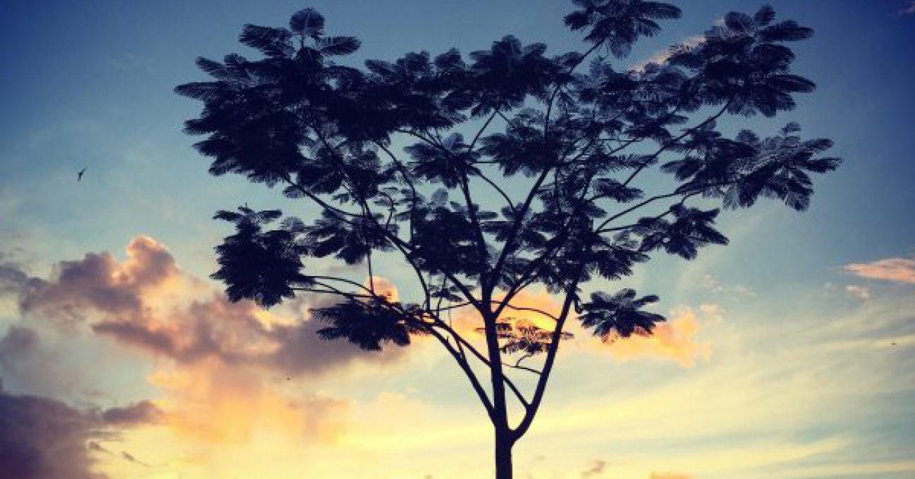 A6C1FE9D-AFF4-4E65-8C73-EFCDF939C0FE